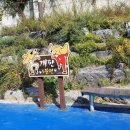 도림천에서 용나는 작은도서관 이미지