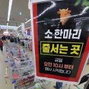 순천향매실영농조합법인 | 한우의날 양재하나로마트 한우 행사 멀리서 와도 이득!! 한우안심 구매후기