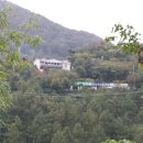 진산자연휴양림캠핑장 이미지