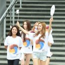 스텔라 이미지