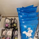 나나애견미용 이미지