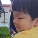 (주)수달앤쥬 이미지
