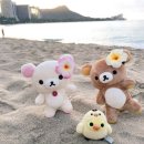 희 - 전주시 완산구 농소2길 17 | 희