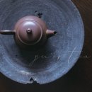 처음 읽는 보이차 경제사