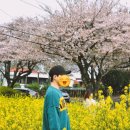 CU(벚꽃점) 이미지