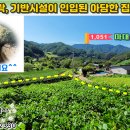 [단양토지 843㎡ // 4천3백만원] 얕은 산자락, 기반시설이 인입된 아담한 집터 or 쉼터! 상수도·하수도 배관 매설... 이미지