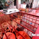 황구건강원 이미지