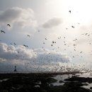 올래농장 이미지