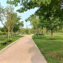 강서둘레길(개화산,치현산,한강코스) 이미지