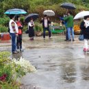 구미농장 이미지