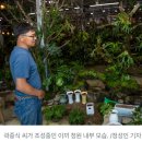 카페525