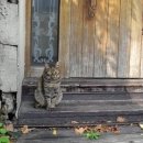 검정고시(고졸) 이미지