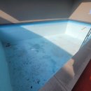 퍼피랜드 이미지