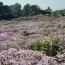 쌈지마당 화장실 | 경북 문경 여행) 문경새재 도립공원/문경 가볼만한 곳/가족 산책 추천/옛길 걷기/옛길 박물관/전동차...
