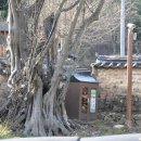 묘산고택 이미지