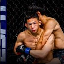 [UFC] 타이라 타츠로 vs 박현성 이미지