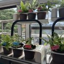 전주근영중학교 이미지