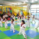 월드태권도 유소년스포츠클럽 이미지