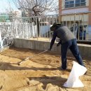 광평초등학교 병설유치원 이미지