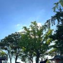 신리 | [충남] 당진 드라이브 코스로 가볼 만한 곳 합덕성당/신리성지/아미미술관 후기