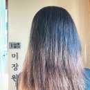 그냥,미장원