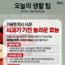 2023년 11월 28일 화요일 부동산 뉴스 이미지