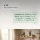 피톤치드 탈취제 리필1000ml 이미지