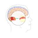 브니엘요양병원 이미지