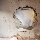 Pressed dr 이미지