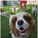 낙원유치원 이미지