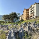 뼝창마을 | 영월숙소 동강시스타 후기