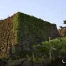 애월연대 이미지