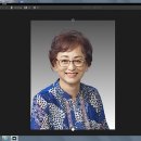 그라디언트 이미지