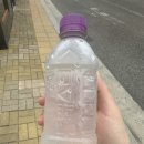 선에스테스파동탄호수점