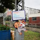 월배유치원 이미지