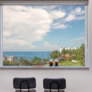 어달,아리 이미지