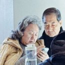 어벤져스패밀리더캠프PC 이미지