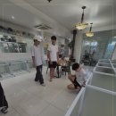 김제강아지 이미지