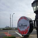 제주로와 | 서귀포 펜션 고민 끝! 제주로와 다녀온 진짜 여행 후기