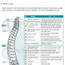류정화한의원 이미지