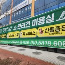 로즈메리 펫뷰티샵 네이버블로그