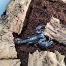 준성농장 이미지