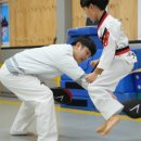 올림픽태권도&줄넘기 이미지