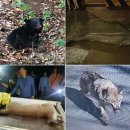 (주)E.P.T대전 이미지