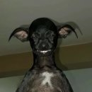 내몸애찬 | 어서오▲ㅣ오