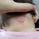 성모키즈소아청소년과의원 이미지