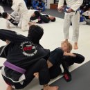 MMA주짓수 | [서산주짓수] 제대로 배울 수 있는 곳, 서산MMA &amp; 주짓수아카데미 후기