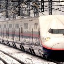 샬롬 주식회사 이미지