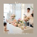 특별한날디딤 | 목포 특별한날 디딤에서 가족끼리 소규모 돌잔치 행사 내돈내산 후기