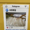창원횟집 | 창원물회맛집 소답동 유정횟집 달인물회 솔직후기│신선한 해산물 가득 추천 메뉴!